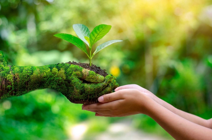 5 de Junio, día mundial del medio ambiente