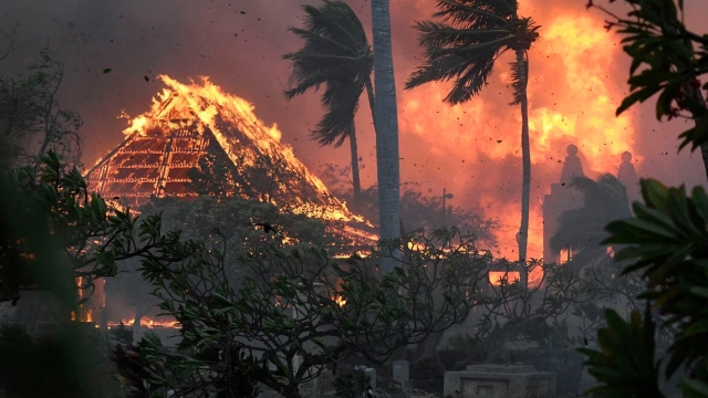 36 fallecidos por incendios forestales en Hawái