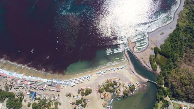 Marea roja tóxica invade las playas de Manzanillo