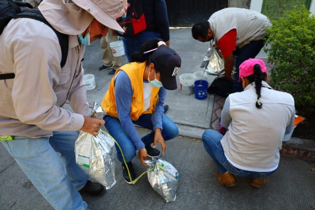 Autoridades de la Jurisdicción Sanitaria II participan en las jornadas de descacharrización en el municipio de Zacatepec, que comenzaron este lunes.