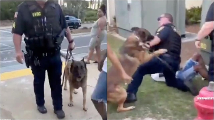 Policía taclea a joven y su perro se vuelve contra él