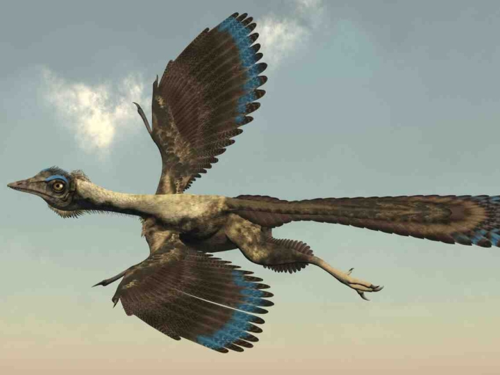 Así es como los dinosaurios aprendieron a volar