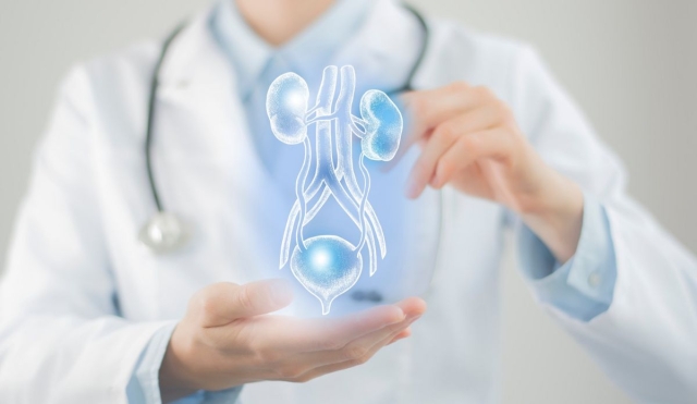 ¿Qué causa las infecciones urinarias y cómo prevenirlas?