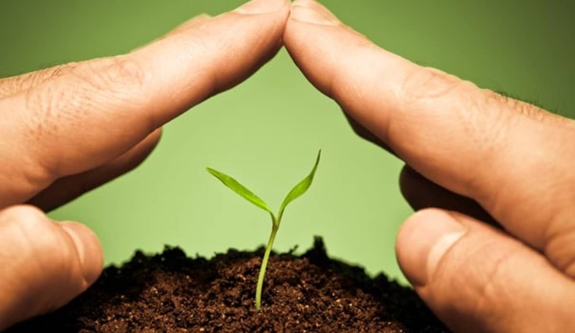 Demandan agricultores del poniente seguros catastróficos