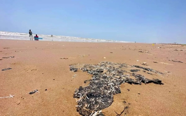 Derrame de petróleo alcanza playas de Tabasco, Tamaulipas y Veracruz