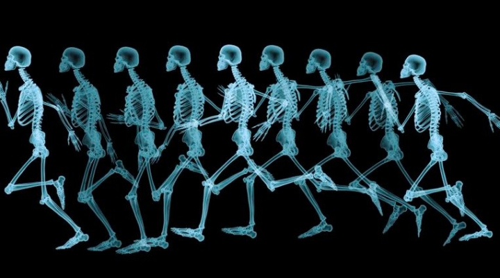 ¿El cuerpo humano tiene 206 o 219 huesos? Cómo impacta en la salud el debate de los científicos
