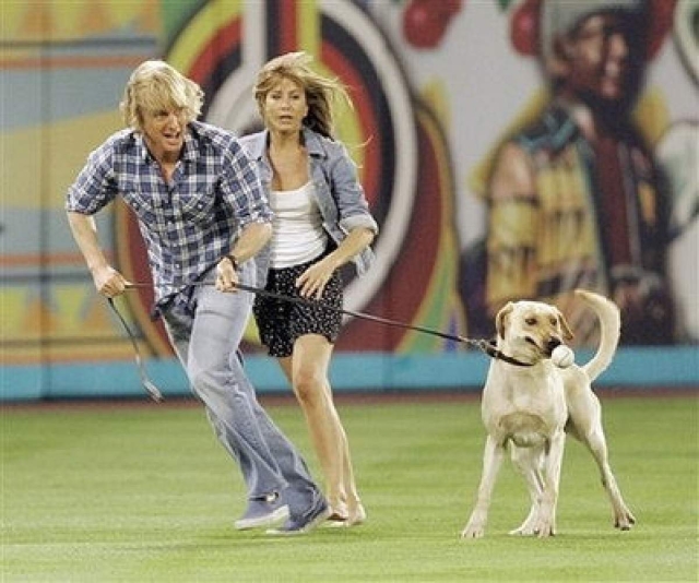 Un caso extremo de paseo con perro es el que se muestra en la película norteamericana “Marley and me”.