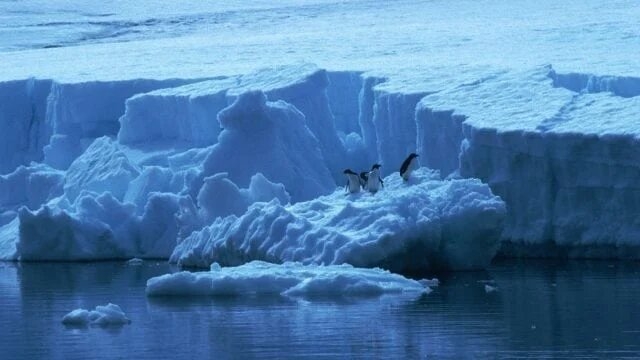 Iceberg de 380 km² se desprende de plataforma en la Antártida