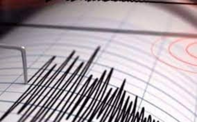 Se registra sismo magnitud 4.8 en Guerrero.