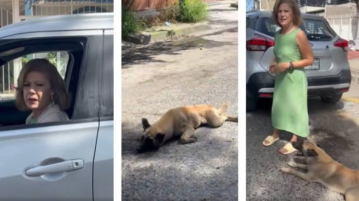 Mujer arrastra perro amarrado a camioneta en Tlaquepaque, Jalisco.