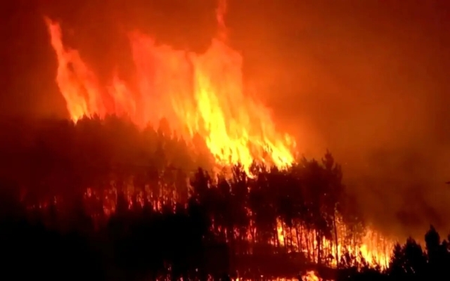 Evacúan a 700 por incendio en Pinofranqueado, España