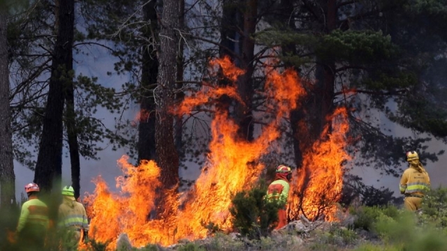 Fuego arrasa miles de hectáreas en Zamora, España