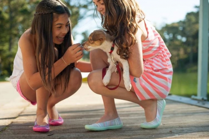 ¿Tu hijo quiere tener un perro? 4 Tips para elegir la mascota ideal para niños