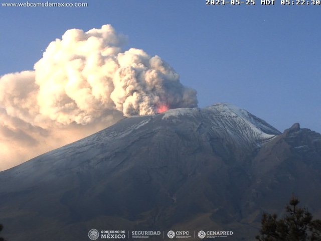 19 exhalaciones del volcán Popocatépetl en las últimas 24 horas; mantienen semáforo amarillo fase 3