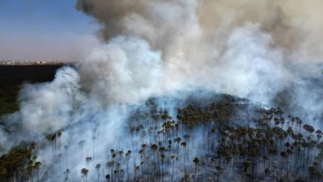 Brasil enfrenta su peor sequía con incendios y niveles críticos en el Amazonas