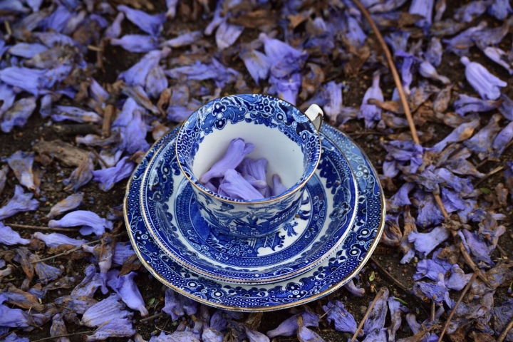 De la calle a la taza: Descubre las propiedades de las jacarandas en un delicioso té