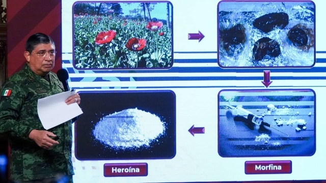 Marihuana pierde importancia para asociaciones delictivas; cocaína, principal droga que se mueve en México: Sedena