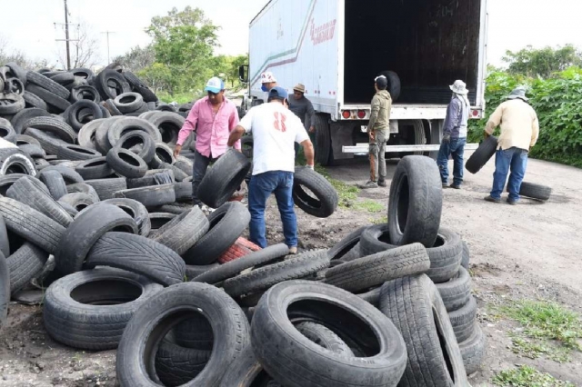 Los neumáticos serían trasladados a Acapulco, Guerrero.