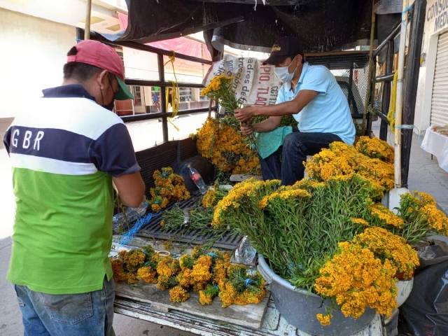 Vendedores de la flor de pericón provenientes de fuera del municipio llegaron a Jojutla para ofrecer el producto y mantener la tradición.