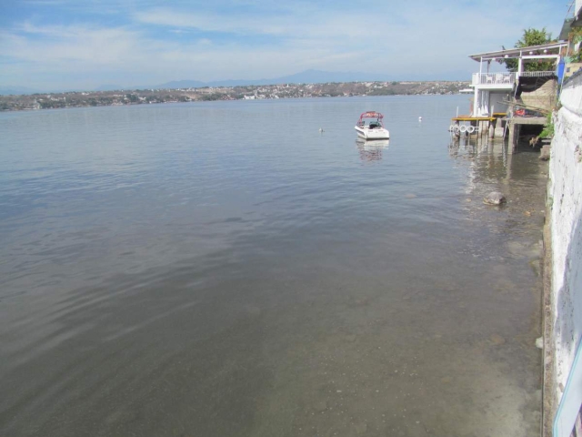 Desde hace décadas se ha presentado el fenómeno que cobra la vida de muchos peces en el lago, pero que no tiene consecuencias en el turismo, más que el característico olor a azufre.