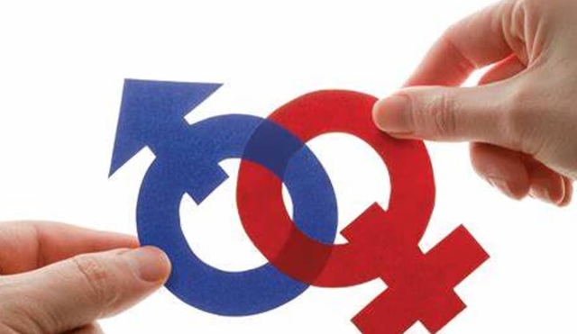 Falta lograr una auténtica paridad de géneros