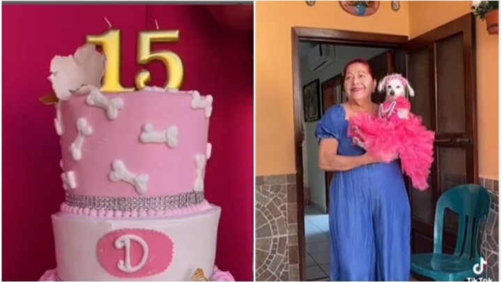 Con vestido y pastel de tres pisos, perrita festeja 15 años