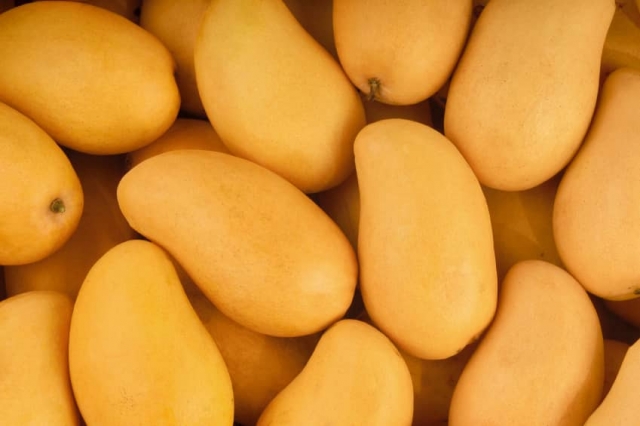 Origen del mango ataulfo, una fruta 100% mexicana