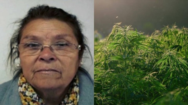 “La Mami” de la droga: la abuelita jefa de un clan millonario que traficaba en su tiendita