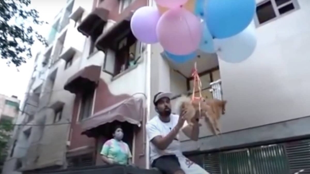 YouTuber hace volar a su perrito con globos y lo arrestan