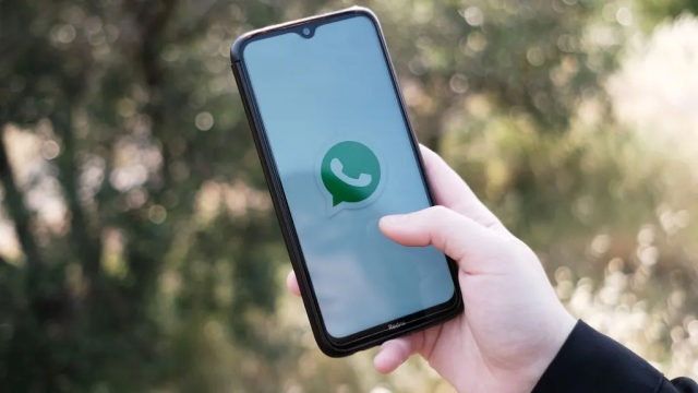 Seis nuevas funciones que podrían llegar a whatsApp en 2024