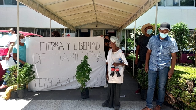 Campesinos de Tetecala piden autorización para cultivar mariguana