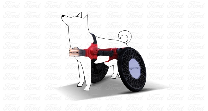 Innovadora Silla P-Raptor: Movilidad y Libertad Canina
