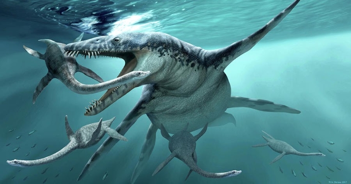 Los pliosaurios medían el doble de una orca, revela investigación