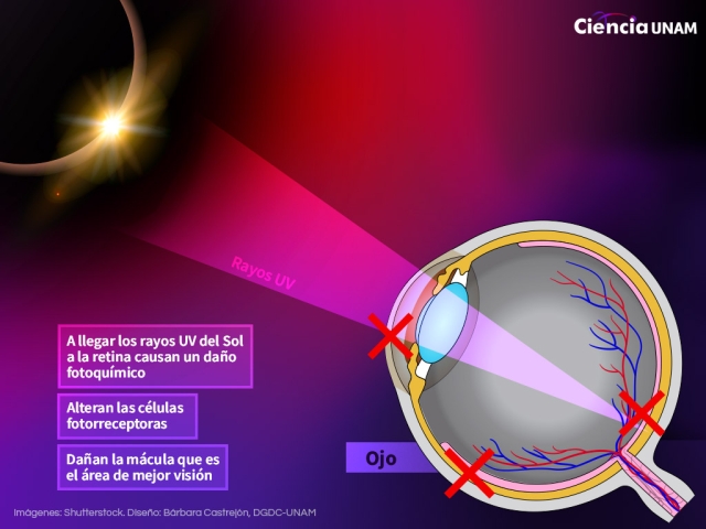 En la Sombra del Eclipse 2024: cómo verlo de manera segura