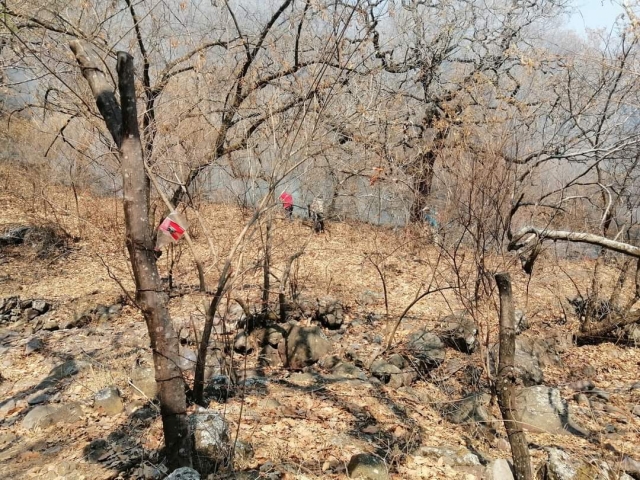 Controlado, incendio en cerro de Palo Grande en Amacuzac: PC municipal