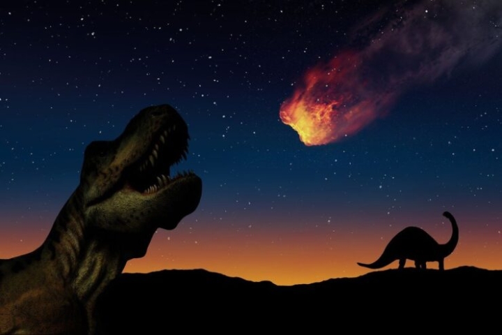 El meteorito que acabó con los dinosaurios cayó durante la época de cría