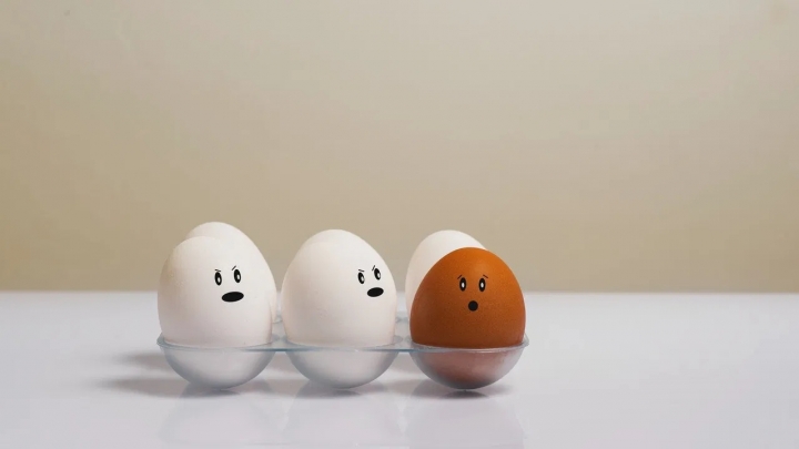 ¿Cómo saber si un huevo esta bueno o echado a perder?