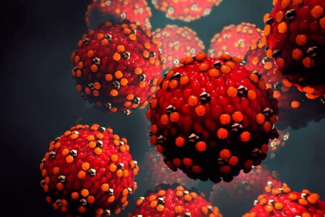 La importancia de los esquemas de vacunación y el resurgimiento del sarampión