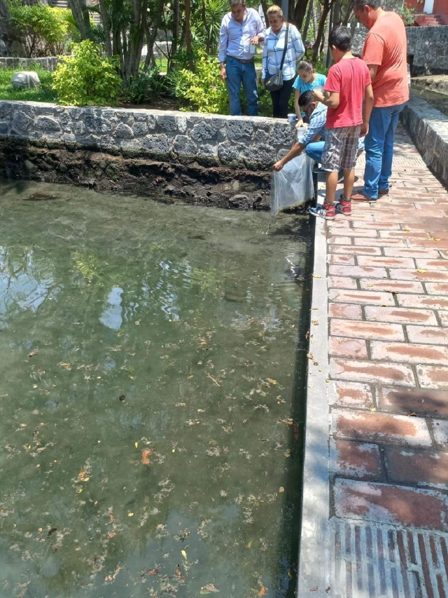 El parque “Ojitos de Agua” de Panchimalco fue el primer lugar donde se sembró la tilapia para darle vida al sitio y contribuir a disminuir la población del mosco transmisor del dengue.