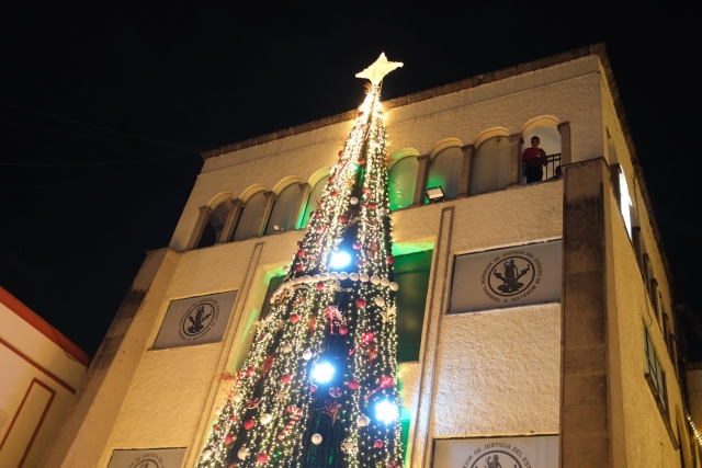 Disfruta la familia del TSJ del encendido del árbol de navidad en un ambiente festivo