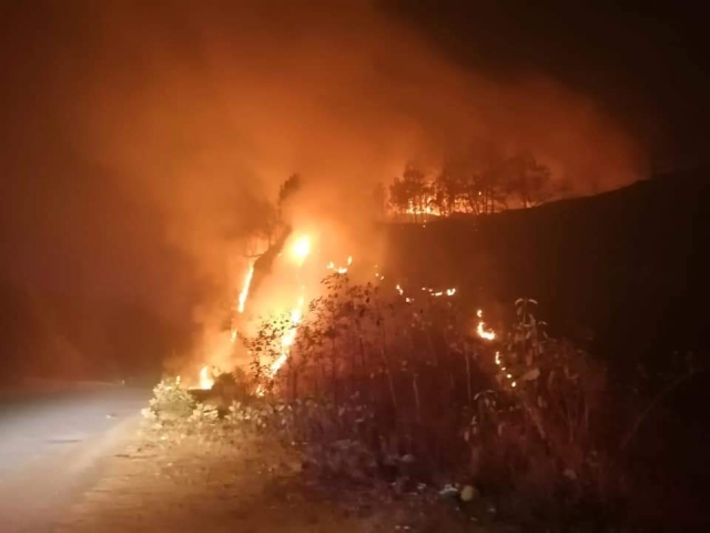 Atienden incendio forestal en carretera federal a Buena Vista del Monte