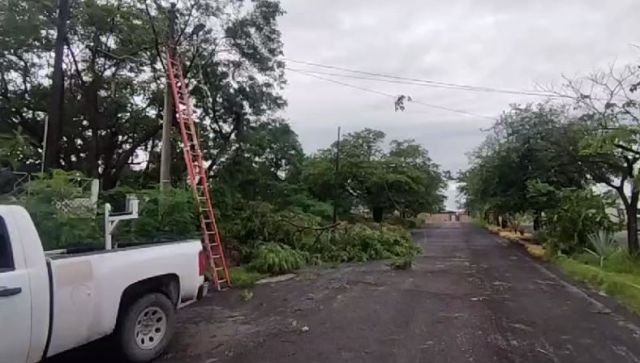 Interrupción de energía eléctrica en la Unidad Morelos en Jojutla, tras lluvias