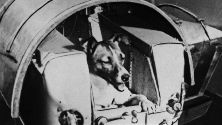 Esta es la historia real de cómo Laika llegó a la órbita de la Tierra