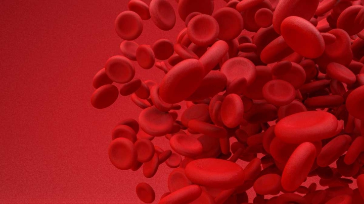 Anemia: remedios naturales para las personas que padecen de esta enfermedad
