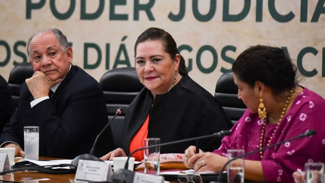 Guadalupe Taddei advierte sobre alto costo del proceso para elegir a jueces