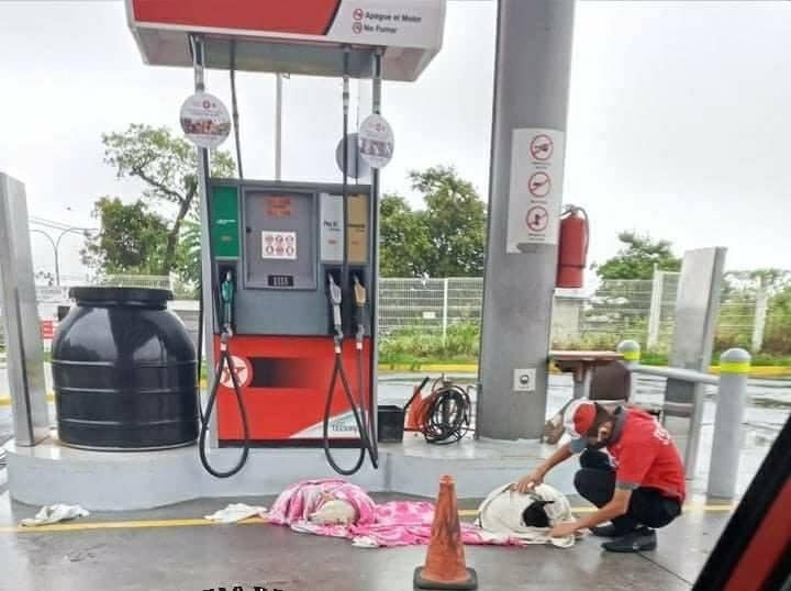 Empleado de gasolinera rescata a perritos callejeros.