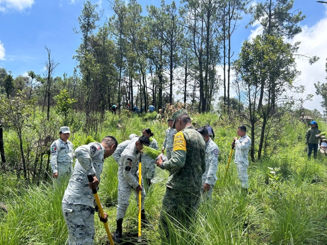 Participó personal de 24 Zona Militar y GN en cierre de reforestación en paraje Los Pilares, en Huitzilac