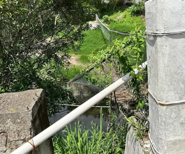 El puente que es utilizado para cruzar el río en la colonia Justo Sierra está dañado.