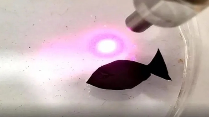 Crean robots con forma de pez para absorber plásticos de los océanos