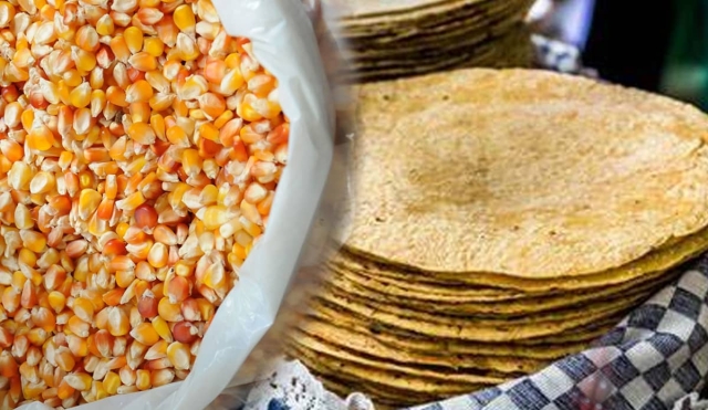 Empresarios de la tortilla piden precios especiales para el maíz